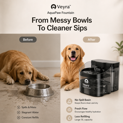 Veyra™ AquaPaw Fountain